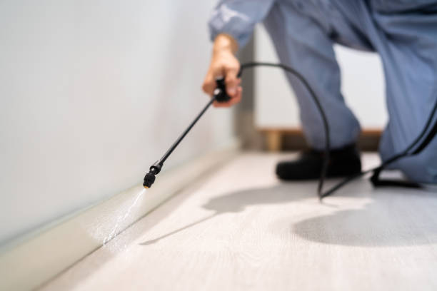 Licensed Fumigation Services service in Silver Grove, KY - Nex Pest Control
