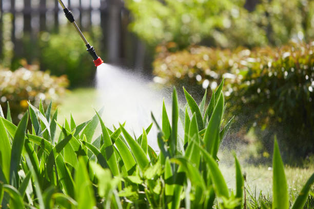 24/7 Emergency Fumigation Services experts in Silver Grove, KY