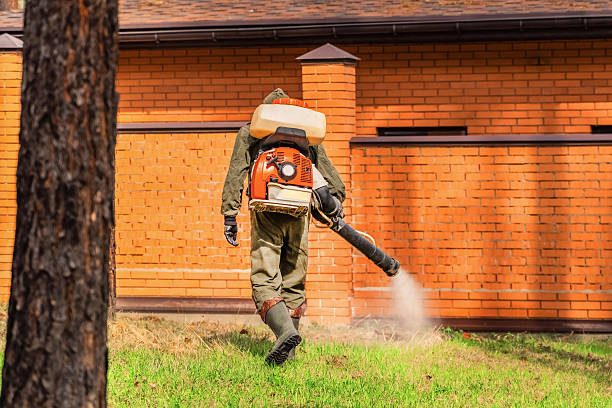 Trusted Termite Control service in Silver Grove, KY - Nex Pest Control
